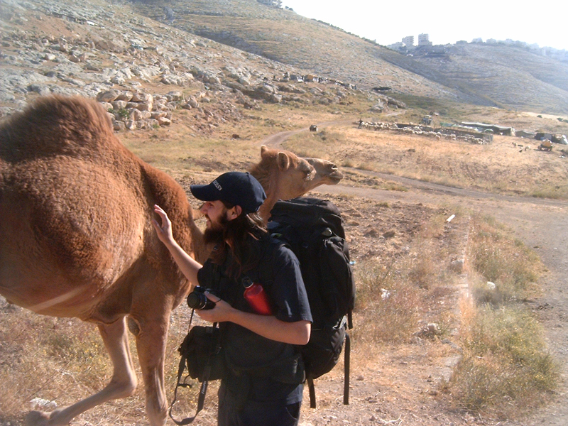 Hernes McGrath trying to make friends with Mr. Camel, ignoring the possibly that Mr. Camel and his friends might have entertained the thought of attacking us, while Misop and Hermes were walking to Jerico, Palestine from Mount of Olives, Israel.
