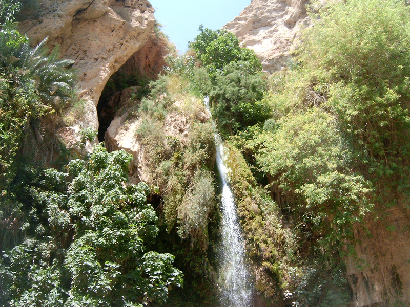 This 'MagPro Photo of the Day' shows a beautiful piece of art by God, creater of the heavens and earth. Some call this work 'The Waterfall at the Wadi of David in Ein Gedi, Israel' — displayed near another famous work that many call, 'The Dead Sea.'